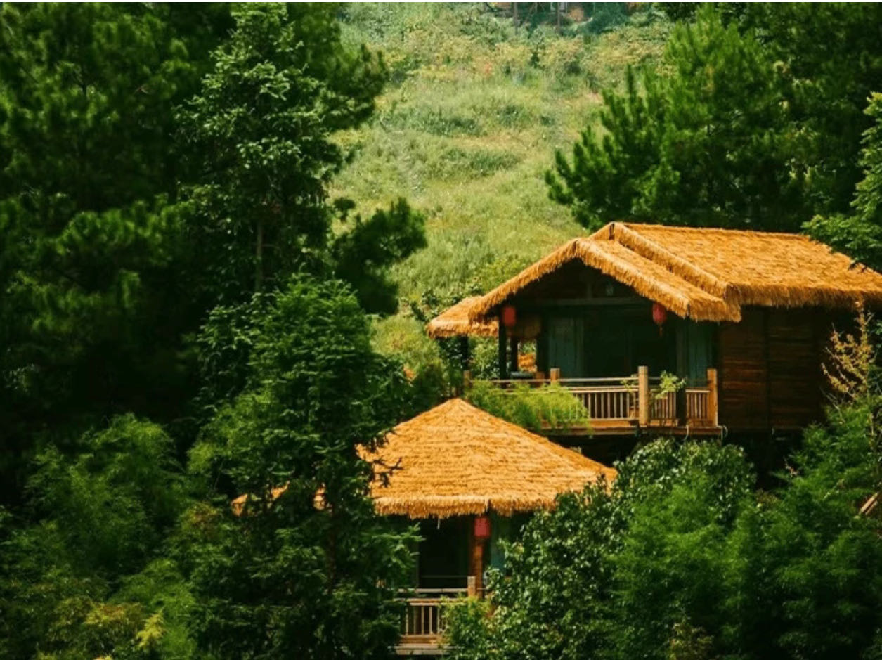 芳草地度假酒店：与自然和谐共存的美好庇护所